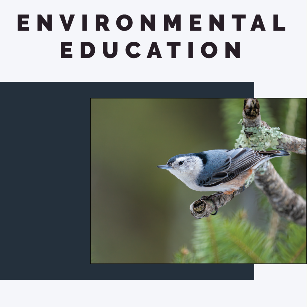 Environmental Education